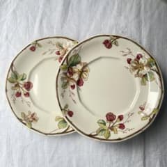 ドイツヴィンテージビレロイボッホportobelloプレート2点ブロカント