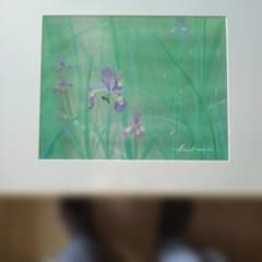 Asakawa 作 菖蒲 絵画 額装品のサムネイル