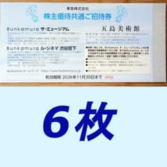 匿名　Bunkamura ザ・ミュージアム ル・シネマ 五島美術館共通招待券6枚