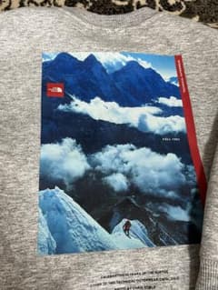 THE NORTH FACE 1992 トレーナー グレーのサムネイル