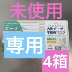 内側ガーゼの不織布マスクのサムネイル