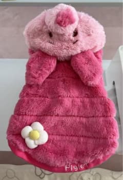 ペットパラダイス　ピグレット　DSSのサムネイル