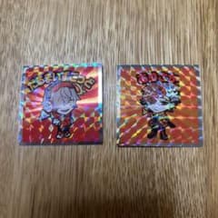 クレイジーラクーンマンチョコ　だるまいずごっど　ありさか シールのサムネイル