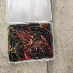 ふじっちょ様専用のサムネイル