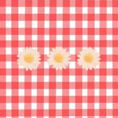 きぬ様専用のサムネイル