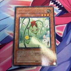 遊戯王　ナチュルローズウィップ　3枚　DT04 遊戯王 ナチュルローズウィップ DT04 - メルカリ