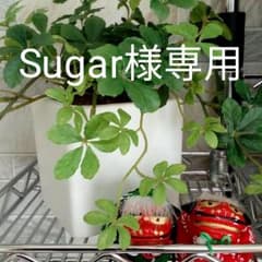 長袖Ｔシャツ（4枚セット）のサムネイル