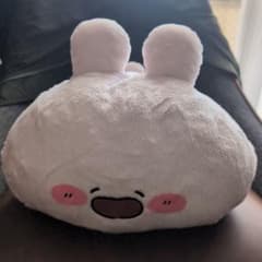 あ*離様 あさみみちゃん 寝そべりBIGぬいぐるみ
