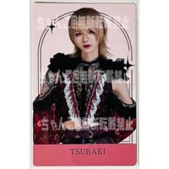 m97637651604_1.jpg?1725803320