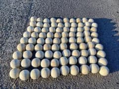 軟式野球ボール　90個セットのサムネイル