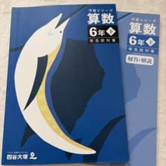 四谷大塚 予習シリーズ 算数 6年下 有名校対策 解答と解説付 - メルカリ