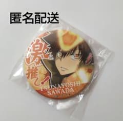 家庭教師ヒットマンREBORN ツナ 沢田綱吉 缶バッジ 家庭教師ヒットマン REBORN! 激推し缶バッジ 沢田綱吉 ツナ リボーン