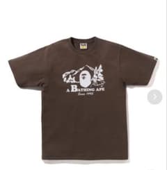 A Bathing Ape ブラウン Tシャツのサムネイル