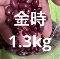 金時豆　1.3kg 新物　令和7年北海道産のサムネイル