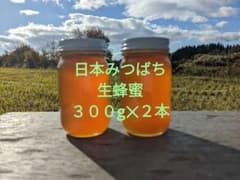 日本みつばち　生蜂蜜　国産純粋　日本蜜蜂蜂蜜　#2のサムネイル