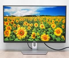 DELL S2421HN 24インチ 液晶モニター 本体 - メルカリ
