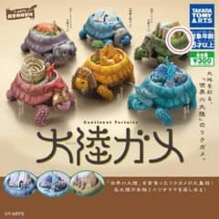 大陸ガメ［南アメリカ大陸ガメ］のサムネイル