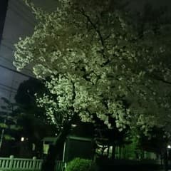 一方通行専用のサムネイル