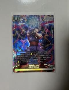 孫悟飯sh パラレル　まろん様専用