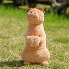 猫の恩返し　ナトル　ぬいぐるみ 猫の恩返し ナトルぬいぐるみ 新品タグ付き どんぐり共和国限定品