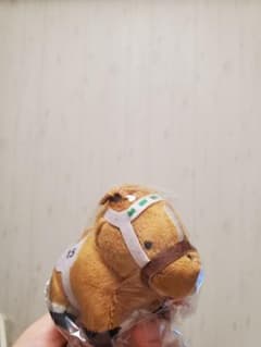 15ミホノブルボン サラブレッドコレクションぷちぬいぐるみ7