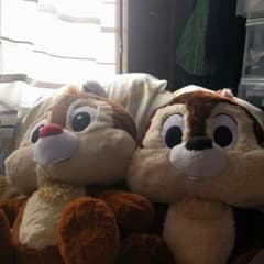 チップとデールのサムネイル