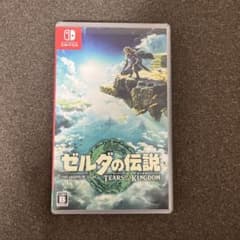 젤다의 전설 티어즈 오브 더 킹덤 Switch 소프트
