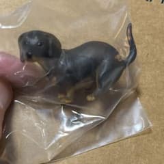 ふんばり〜ぬ3のサムネイル