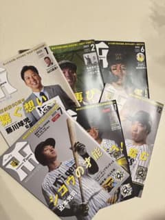 月刊タイガース 2025年 6冊セットのサムネイル
