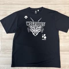 DESCENTE WOLFDOGS NAGOYA Tシャツ DESCENTE WOLFDOGS NAGOYA Tシャツ - メルカリ