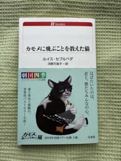 カモメに飛ぶことを教えた猫のサムネイル