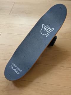 バランスボード PRO 【Fungoal】 KEEP YOUR BALANCE