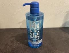 極涼 アイスボディシャンプー 全身洗浄料 液体タイプ 600ml 新品未使用