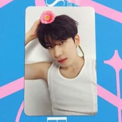 SEVENTEEN DEAR Ver. ウォヌ トレカのサムネイル