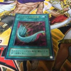 ハーピィの羽根箒のサムネイル
