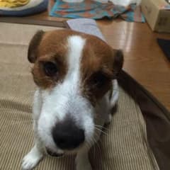 さー様専用のサムネイル