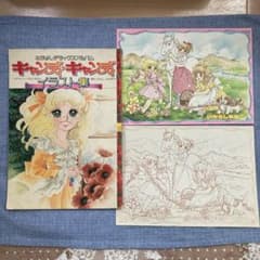 なかよしデラックスアルバム キャンディキャンディ イラスト集と