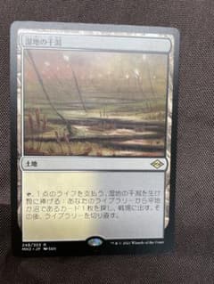 MTG 湿地の干潟 日本語版のサムネイル