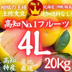 117.高知特産 露地栽培 土佐文旦 4L限定 文旦 約20kg 大玉 サイズ 