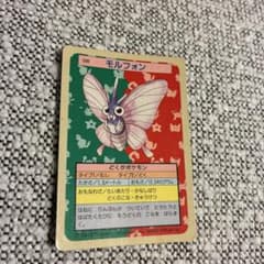 ポケモン カード トップサン モルフォン 裏青 - メルカリ