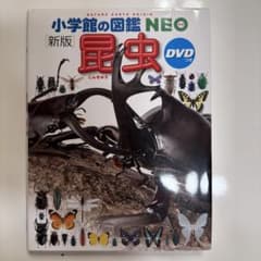小学館の図鑑　NEO 昆虫(DVDなし)のサムネイル