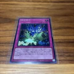 遊戯王 破械習合 RV01-JP053のサムネイル