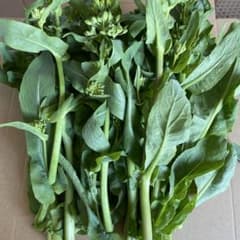 新鮮 菜の花 約400g 箱込み　ネコポス発送　無農薬野菜のサムネイル