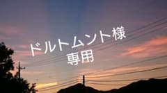 専用のサムネイル