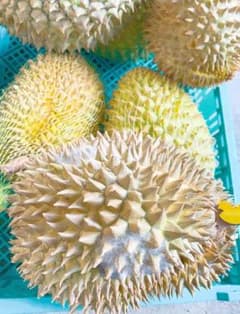 訳あり新鮮ドリアン　榴莲　4.0ｋｇ前後発送 訳あり新鮮ドリアン榴莲 4.0kg前後発送 - メルカリ