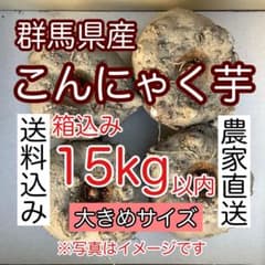群馬県産】こんにゃく芋 箱込み15kg以内 手作りこんにゃく用【大きめ