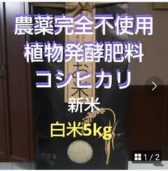 農薬完全不使用/植物発酵肥料 コシヒカリ 白米5kg（令和8年産）のサムネイル