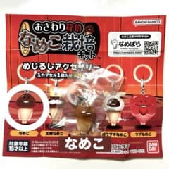 【未開封】なめこ栽培キット めじるしアクセサリー【なめこ】のサムネイル