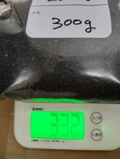 菜の花の種　300g 26年産 2 - 3