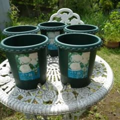バラ鉢　植木鉢 5個セット　6号スリット鉢のサムネイル
